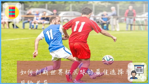 如何判断世界杯买球的最佳选择与风险差异