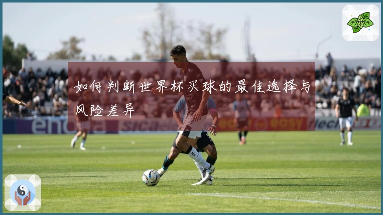 如何判断世界杯买球的最佳选择与风险差异