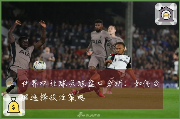 世界杯让球买球盘口分析：如何合理选择投注策略