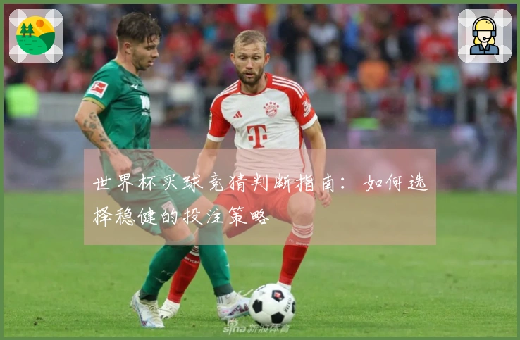 世界杯买球竞猜判断指南：如何选择稳健的投注策略