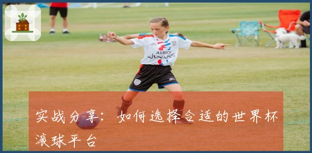 实战分享：如何选择合适的世界杯滚球平台