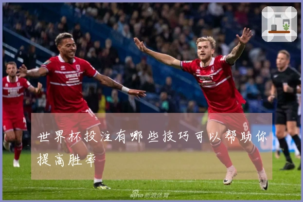 世界杯投注有哪些技巧可以帮助你提高胜率