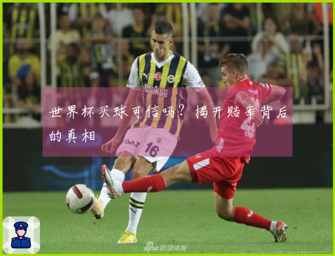 世界杯买球可信吗？揭开赔率背后的真相